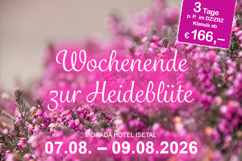 Werbung für ein Wochenende zur Heideblüte im Morada Hotel Isetal Gifhorn vom 09.08. bis 11.08.2024 mit Preis ab 166 Euro.
