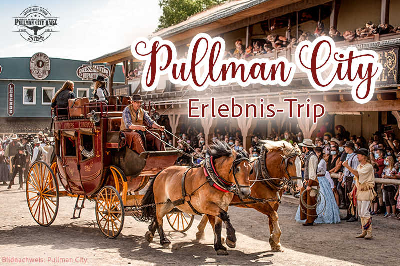 Dampfzug fährt durch eine grüne Waldlandschaft auf einer kurvigen Gleisstrecke.