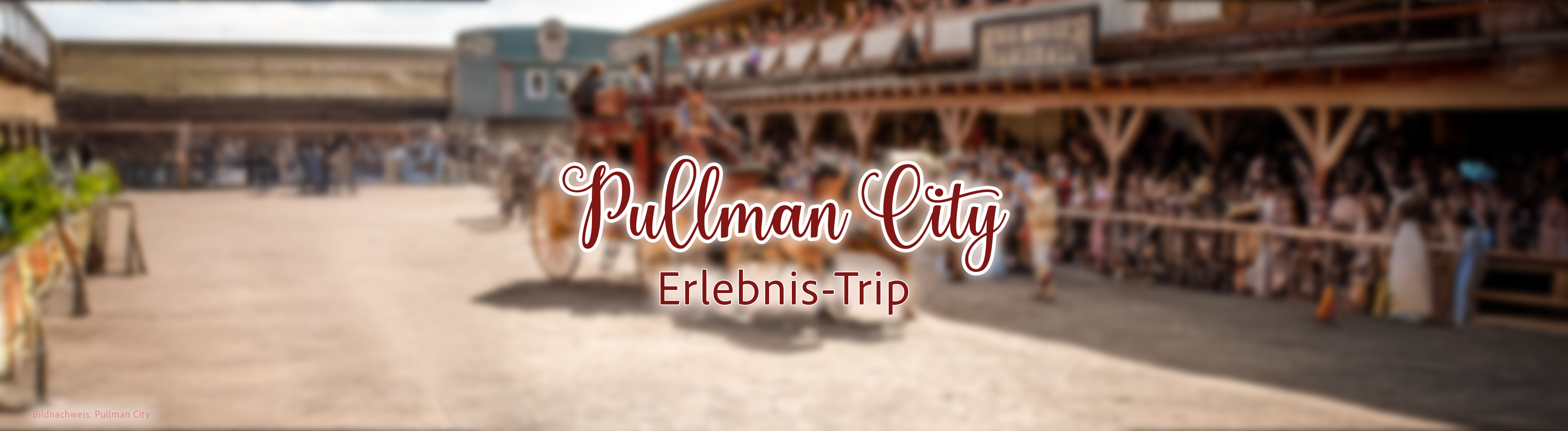 Eine dampfende, schwarze Dampflokomotive fährt auf einer Schmalspurbahn durch eine grüne Waldlandschaft, gefolgt von mehreren roten Wagen.