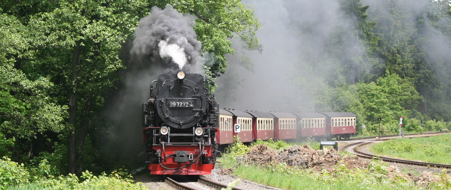 Eine dampfende Dampflokomotive zieht historische Waggons durch eine bewaldete, kurvige Strecke.