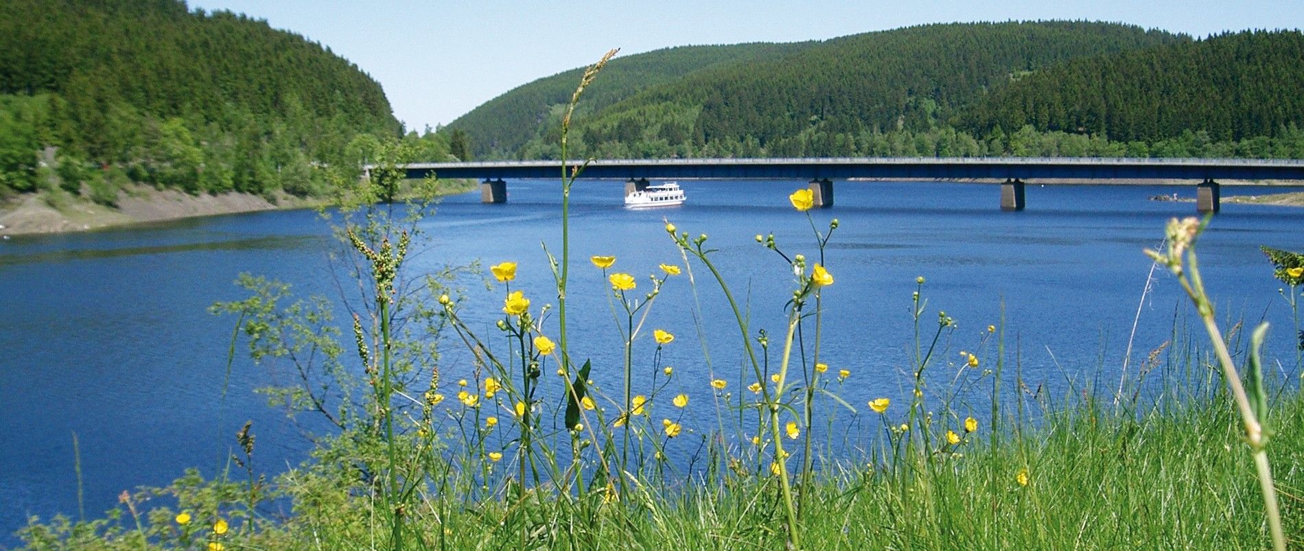 Flusslandschaft mit gelben Wildblumen im Vordergrund und einer Brücke im Hintergrund.