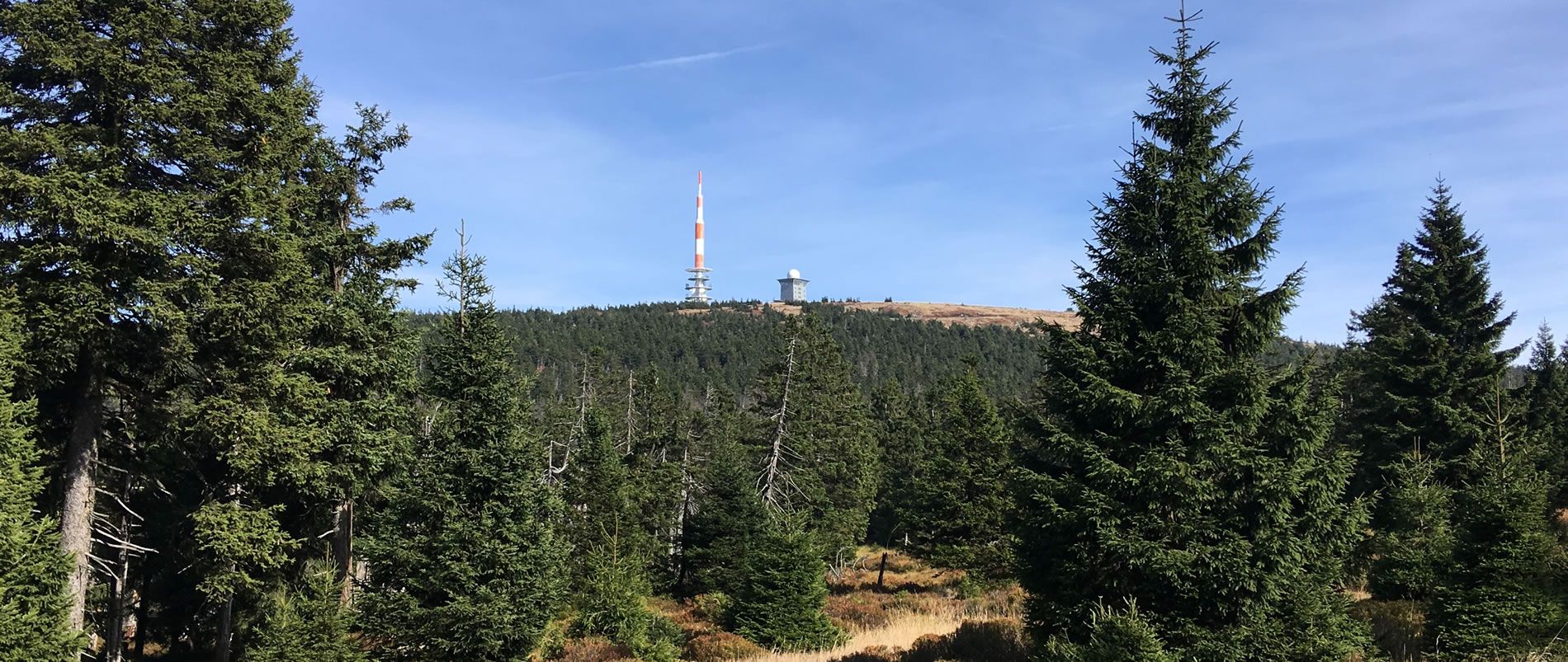 Waldlandschaft mit einem Berg im Hintergrund, auf dem ein Funkmast und eine Kuppel zu sehen sind.