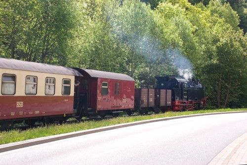 Dampflok mit Personenzug fährt durch bewaldete Landschaft entlang einer Straße.