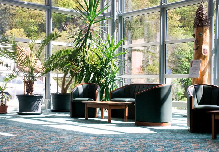 Heller Wartebereich mit modernen Sesseln und großen Pflanzen vor großen Fenstern.