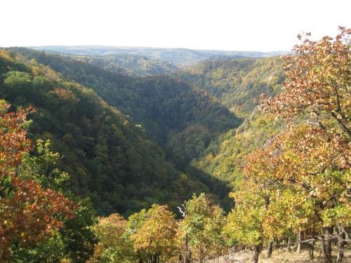 Herbstliche Waldlandschaft mit Hügeln und Tälern, die von buntem Laub bedeckt sind.