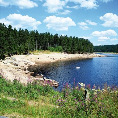 See mit bewaldetem Ufer und klarem blauen Himmel