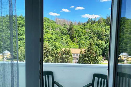 Blick von einem Fenster über einen Balkon auf eine bewaldete Landschaft und ein Gebäude mit rotem Dach im Hintergrund.